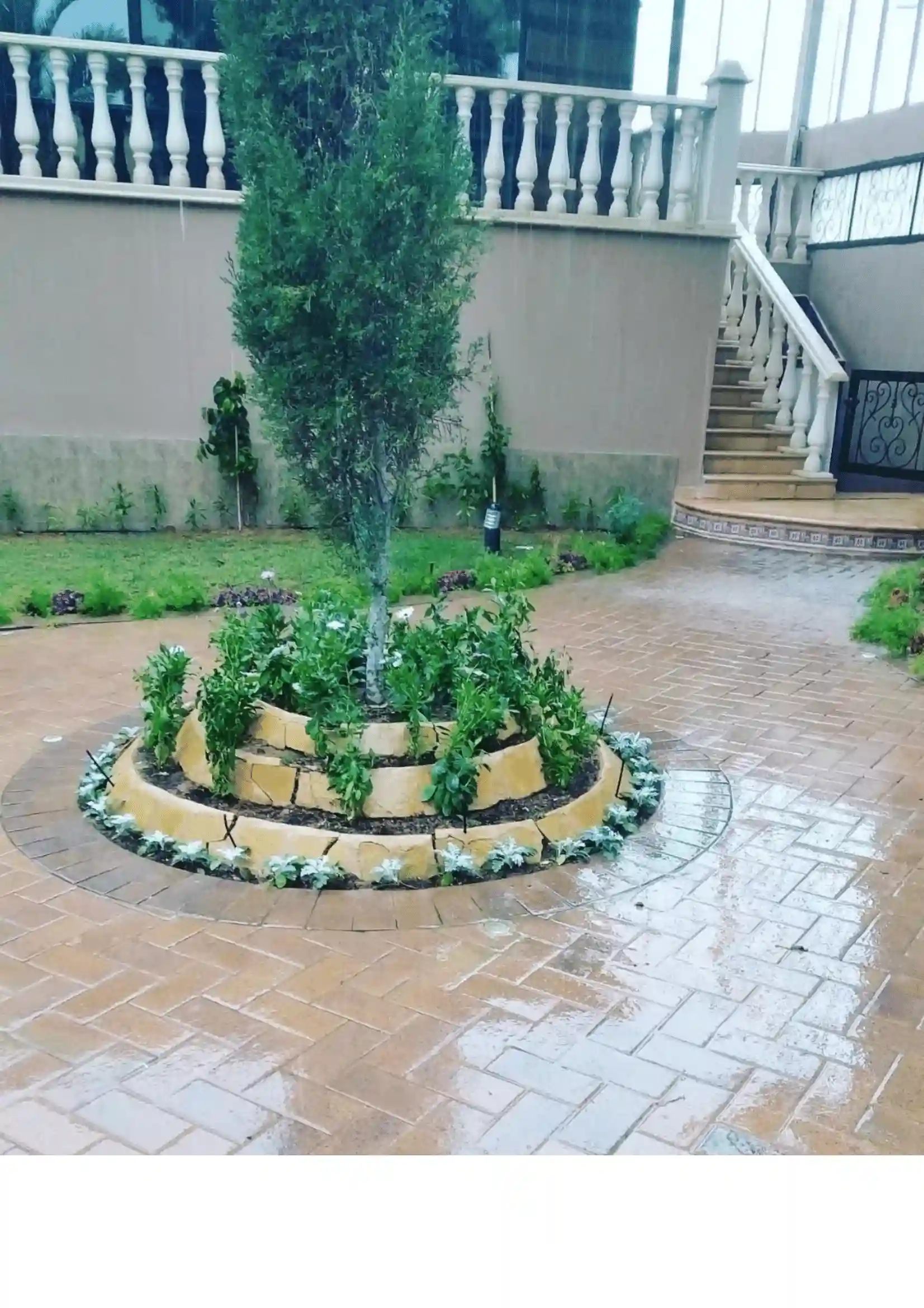 Landscaping Project 3